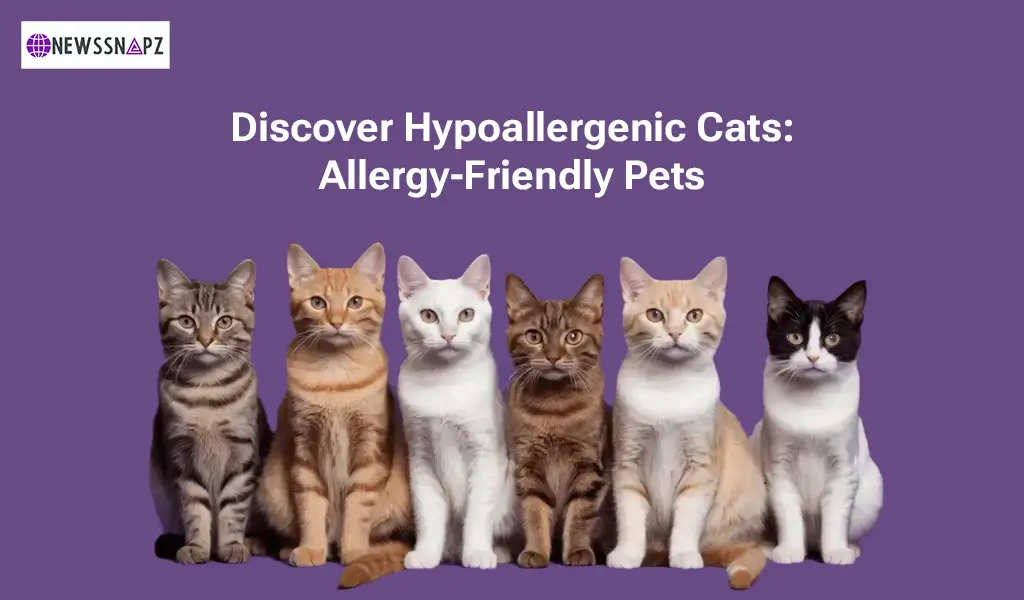 Discover Hypoallergenic Cats Allergy-Friendly Pets